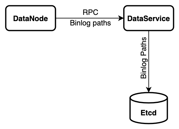 datanode_design